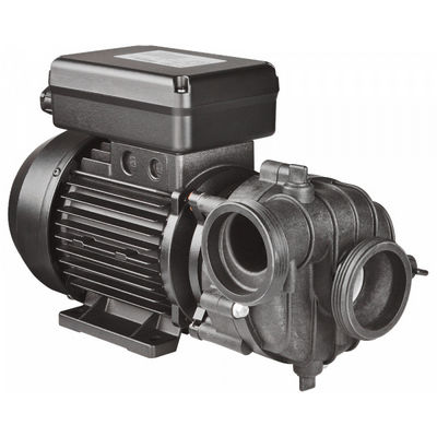 Насос Balboa Sta-Rite DuraJet 2-speed pump